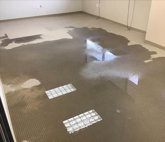 Standing water in an office.