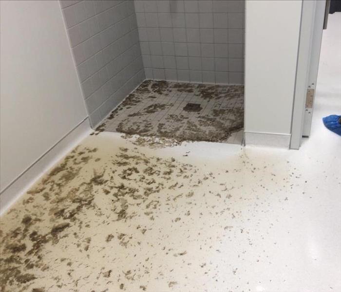 sewage in a shower