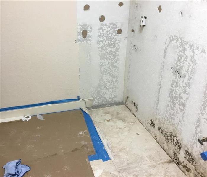 Mold growth on the wall from a water leak in Boca Raton, FL.