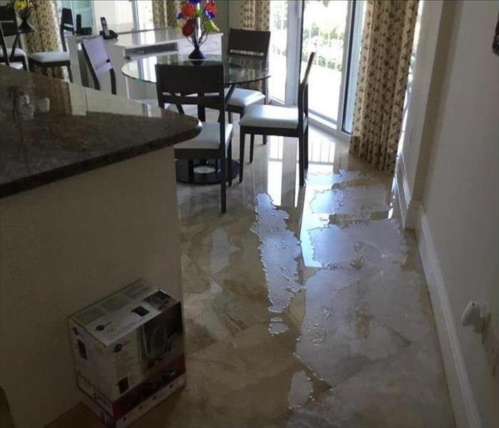Flooded living room in Boca Raton, FL