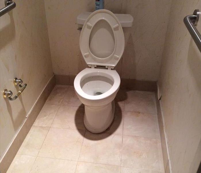 A toilet without problems