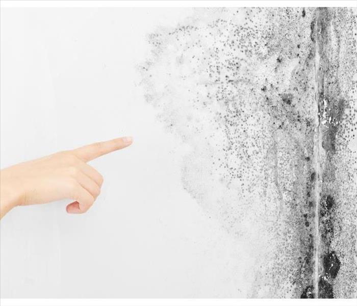 Hand pointing at a white wall that has black mold growth in Boca Raton, FL